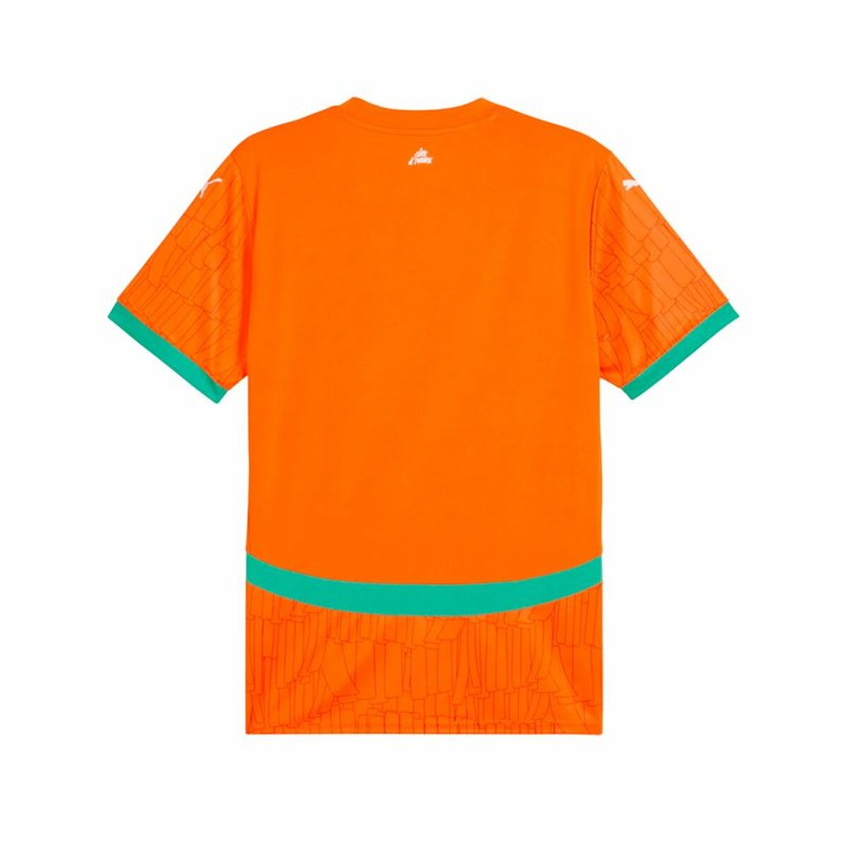 V2H8231ABAD4EDB8E04B36BC31A5DAA6261R6110992P2