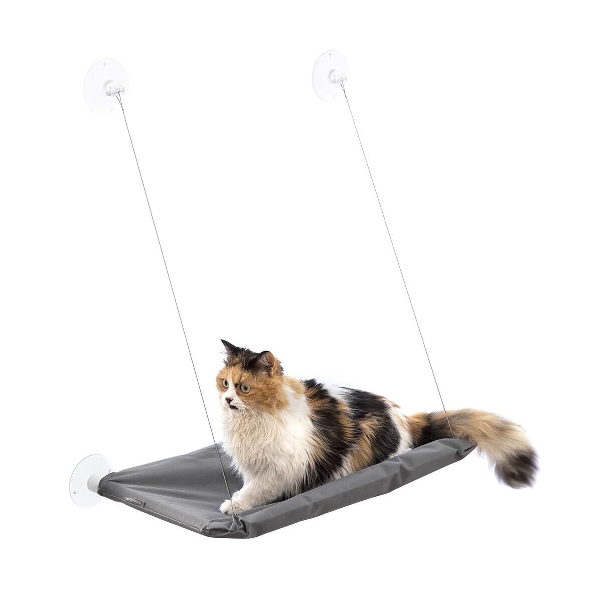 V2H356EAA378D8F1E31002E48388DBE8457R7704092P6