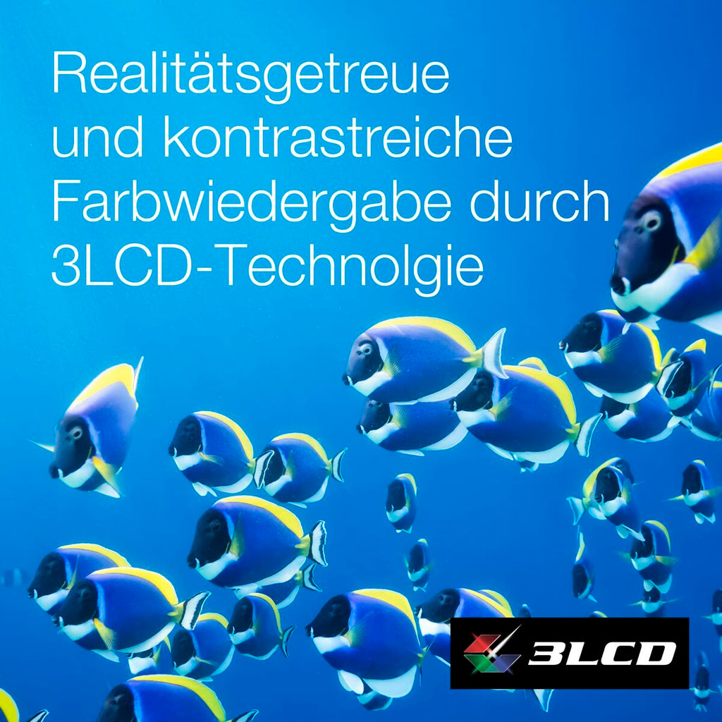 V4H6F993EF8B0295D26DE5BAD84626E8295R7512858P5