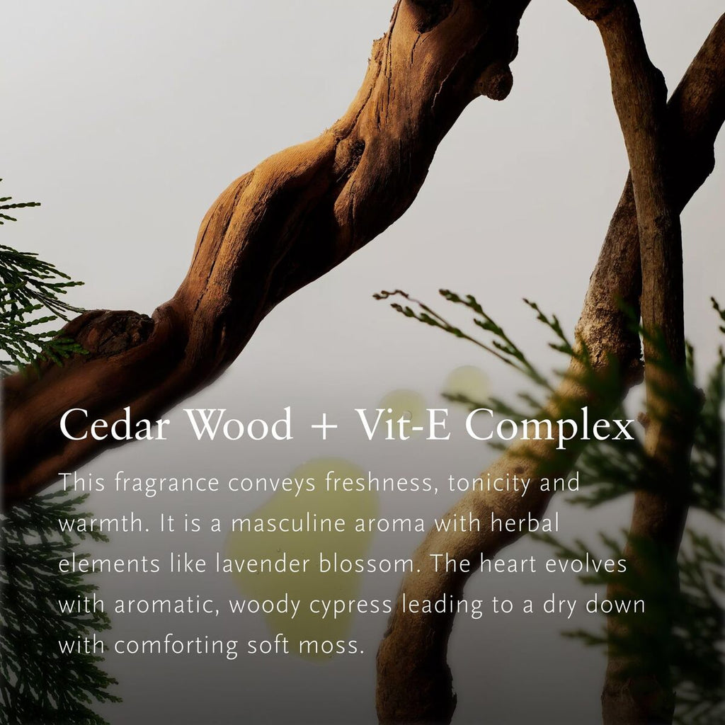 V4H2C8416C0648A14F6371C1D646EDE8BAAR7424992P3