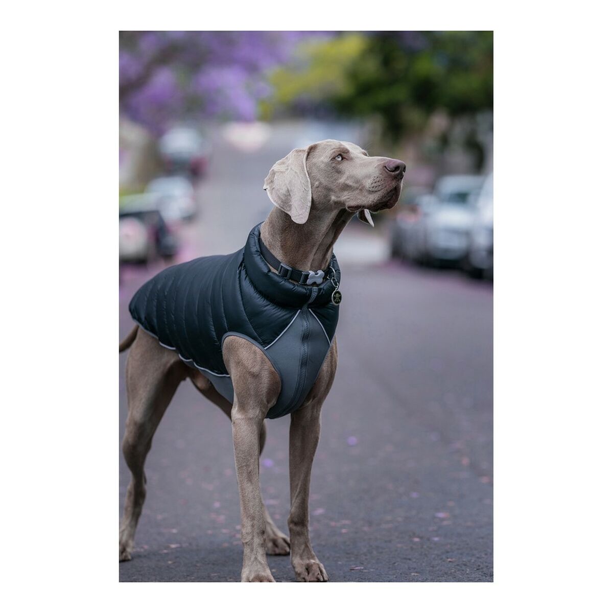 V12H76F9581086C8D76D3CBE6B97976EE71CR5590744P3