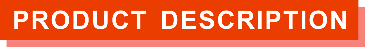 Short de cyclisme respirant et antichoc pour hommes